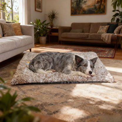 Winter Self-Heating Pet Pad Blanket for Pets